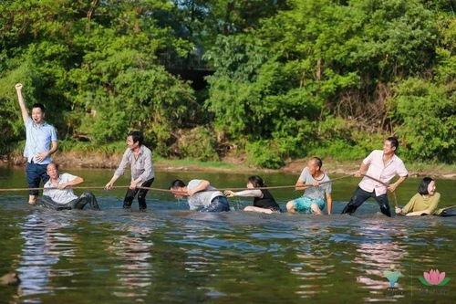 摸鱼吃瓜娱乐,摸鱼吃瓜娱乐生活指南